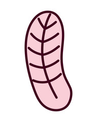 pink leaf foliage botanical nature decoration