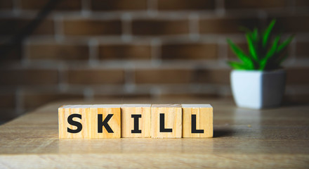 skill word written on wood block, business concept.