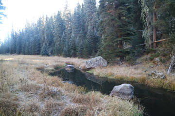 East Fork River in Jemez, NM