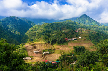 Beautiful view of Terraced rice field and mountain in the clouds. Cat Cat village, popular tourist trekking destination. Sapa, Lao Cai Province, north-west Vietnam