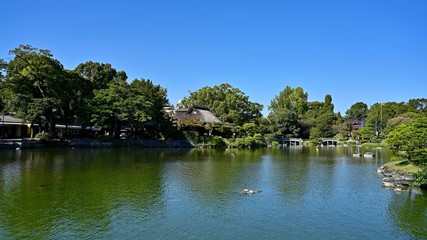 静寂に包まれた街中の日本庭園の情景