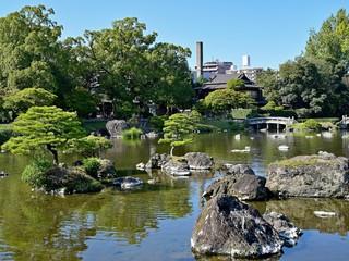 ビルに囲まれた街中の日本庭園の情景