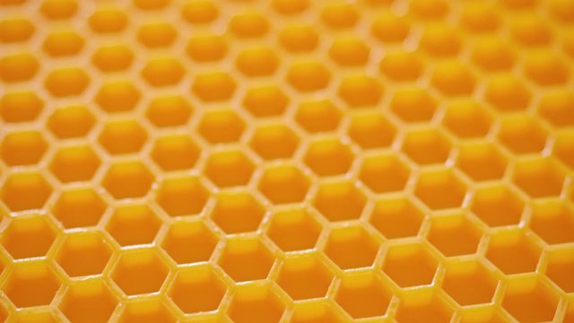 Honey comb. Abstract background.