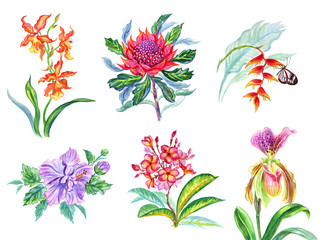 Set of tropical plants, watercolor illustration on a white background, isolated.