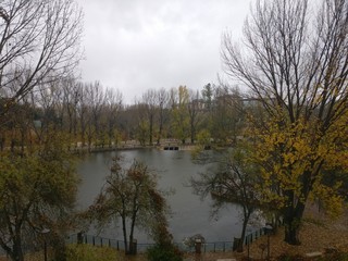 landscape with lake and trees