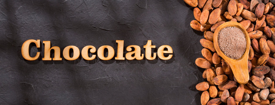 Chocolate, cocoa beans and cocoa powder - Theobroma cacao