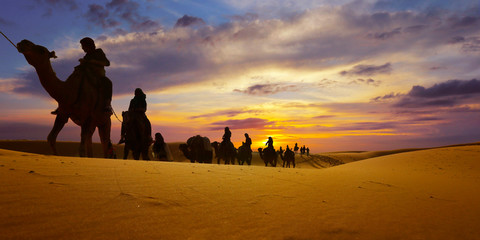 Caravan of camel in the sahara desert of Morocco at sunset time 