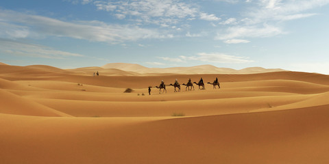 Fototapeta na wymiar Caravan of camel in the sahara desert of Morocco