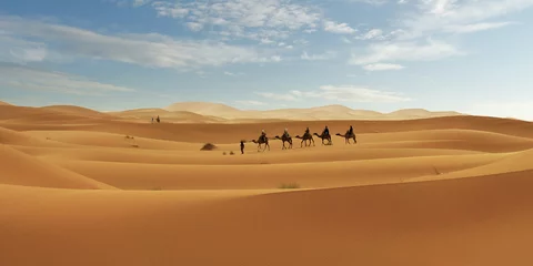 Zelfklevend Fotobehang Caravan of camel in the sahara desert of Morocco © MICHEL