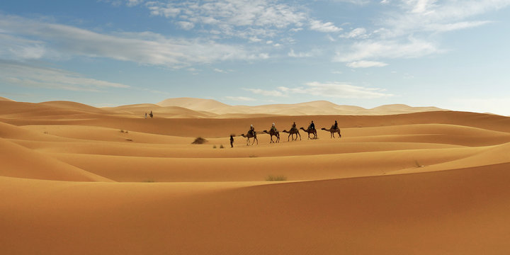 Caravan of camel in the sahara desert of Morocco