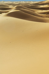 sand dune in the sahara desert 