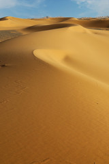 sand dune in the sahara desert 