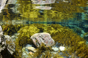 Underwater photo of The Swimming Hole, Whalers Way, South Australia