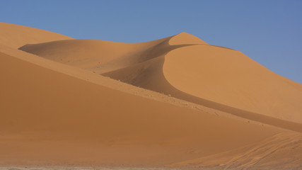 Fototapeta na wymiar Landscape of Sahara desert