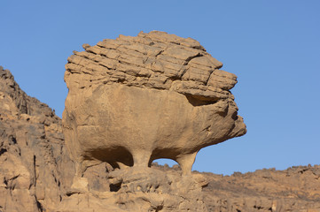 Natural sculpture in Sahara desert