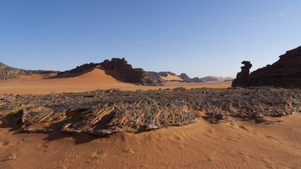 Landscape of Sahara desert