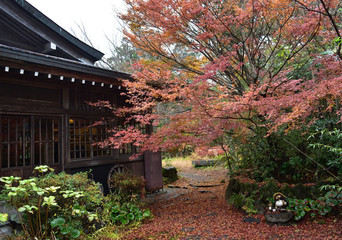 Japanese garden with seasonal color