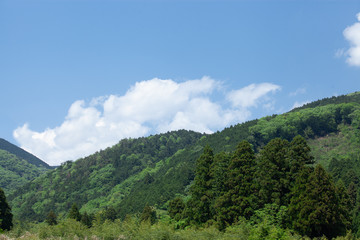 新緑の山々