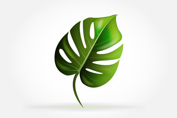 Naklejka na ściany i meble Logo leaf biology health nature identity business card