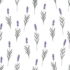 Lavender flowers seamless pattern. Trendy minimalist rustic style. White background. Pastel colors. Vector illustration