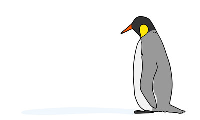 コウテイペンギン