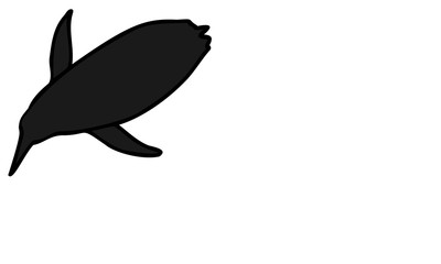 コウテイペンギン