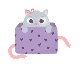 happy valentines day, cute little cat coming out of gift box hearts love
