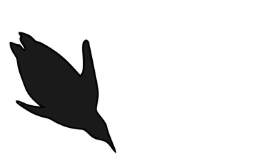 コウテイペンギン
