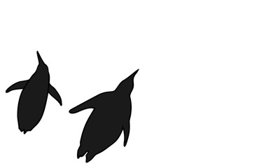 コウテイペンギン