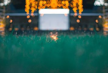 Flares On Grass