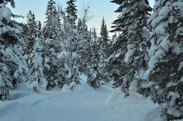 Winter landscape with mountains, deep snowdrifts, plenty of snow.