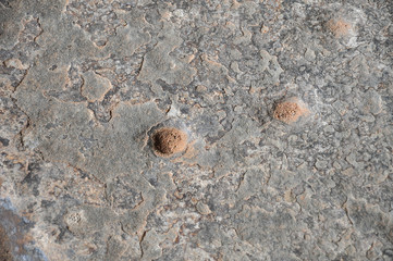 アンコールワットの石材