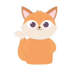 cute animal fox cartoon on white background