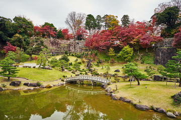 Traditional Japanese Garden in Autumn