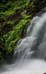 Green folliage edges soft waterfall in NC mountains