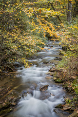 Mountain stream flowing through a forest in fall colors