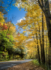Scenic highway cuts through Pisgah Forest in Autumn