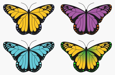 beautiful color butterflies,set, isolated on a white