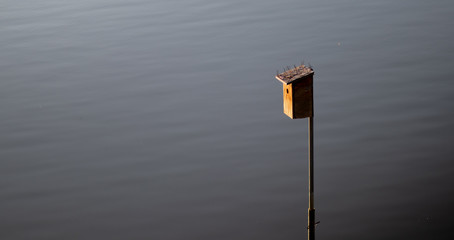 bird house on lake