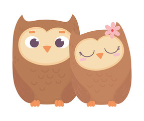 happy valentines day, cute couple owls love romantic