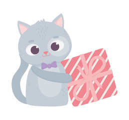 happy valentines day, cute animals gray cat with gift box