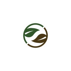 leaf vector template icon design