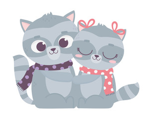 happy valentines day, cute couple raccoon with scarves