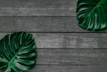 Monstera leaf top view philodendron leaf pattern on the background, old wooden table / copy space -...