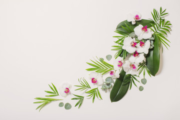 orchid flowers and green leaves on white background