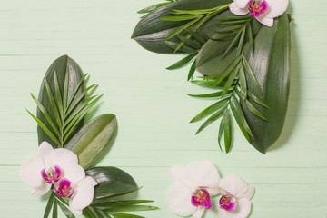 orchid flowers and exotic leaves on green wooden background