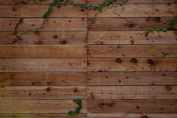 wooden texture background