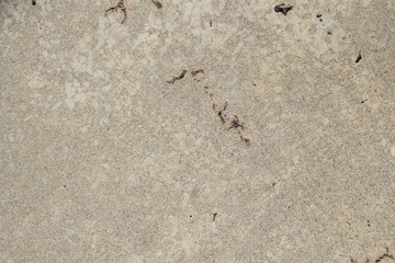 pale concrete background