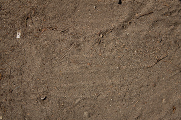 footprints in the sand