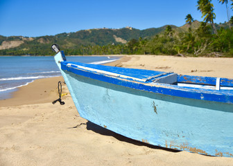 Close up of a traditional Puerto Rican fishing boat on a sand beach with palm trees and green hills in background.  Copy space